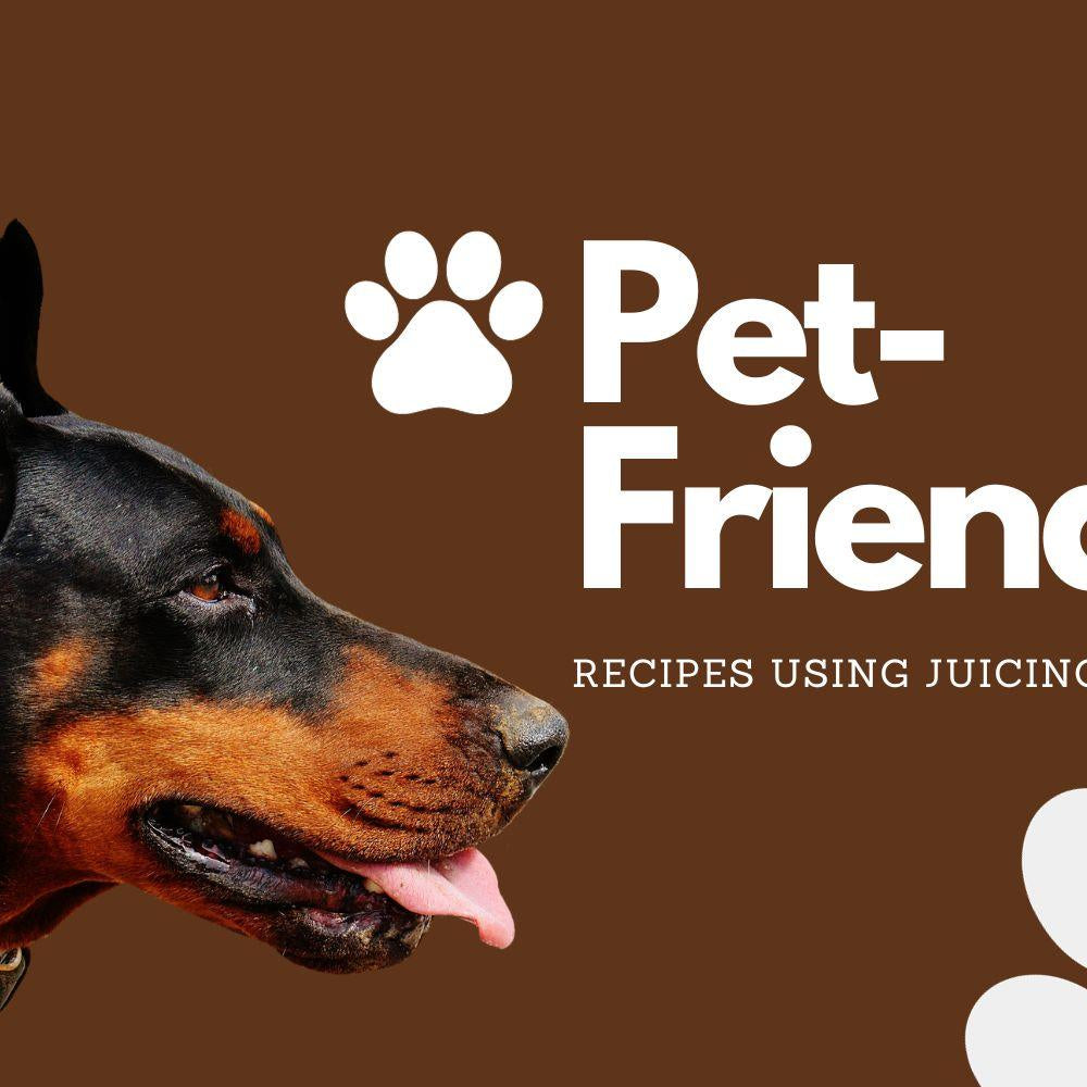 Pet-Friendly Recipes Using Juicing Pulps - Kuvings.my