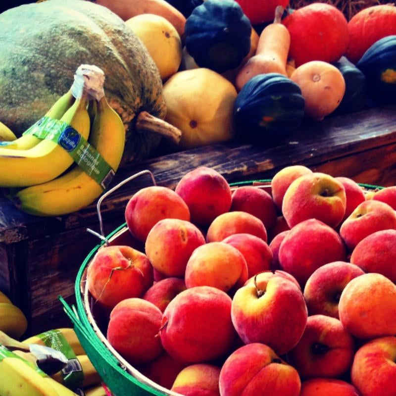 10 Proven Health Benefits of Juicing - Kuvings.my