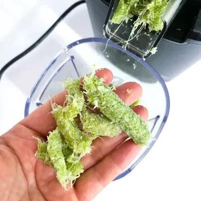 What to Do with the Pulp - Kuvings.my