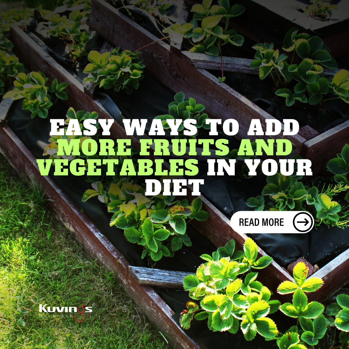 Easy Ways to Add More Fruits and Vegetables in Your Diet