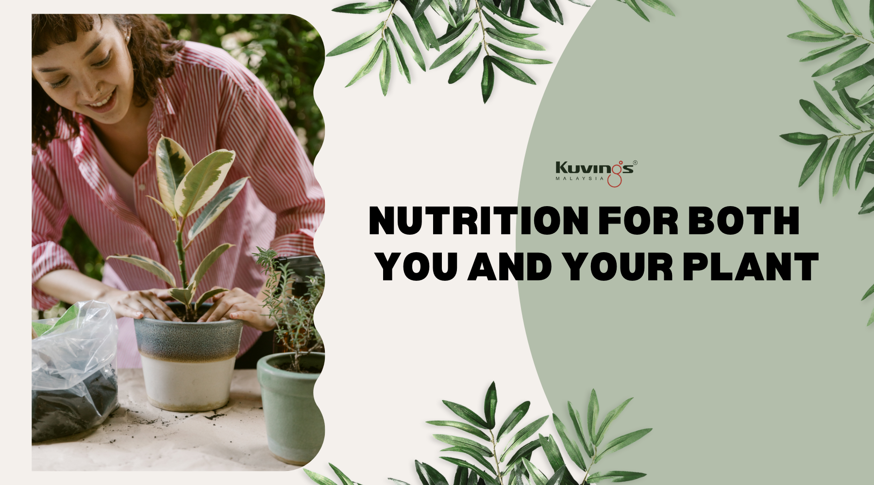 Nutrition for Both You and Your Plant